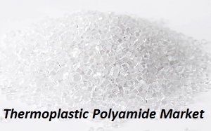 Thermoplastic Polyamide Market
